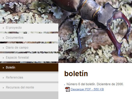 alén | comunicación web & multimedia