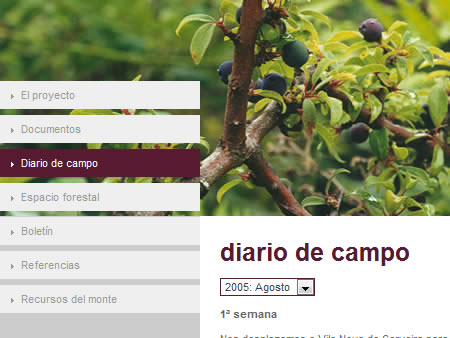 alén | comunicación web & multimedia