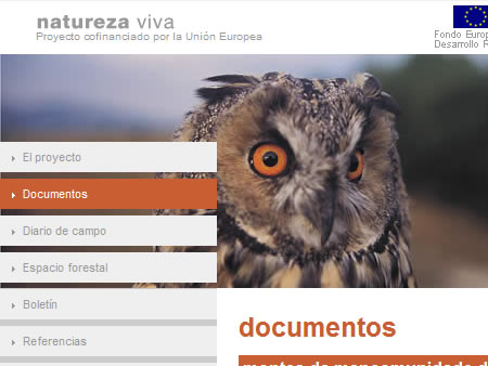alén | comunicación web & multimedia