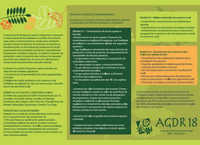 alén | comunicación web & multimedia
