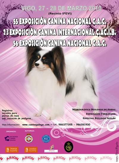 alén | comunicación web & multimedia